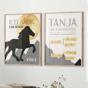 Islænder Stamtavle Plakatsæt Guld